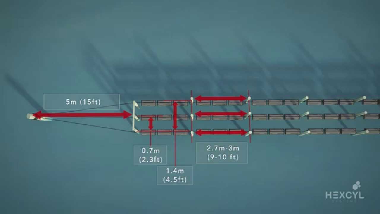 General Overview - Hexcyl Adjustable Long Line Oyster Farming