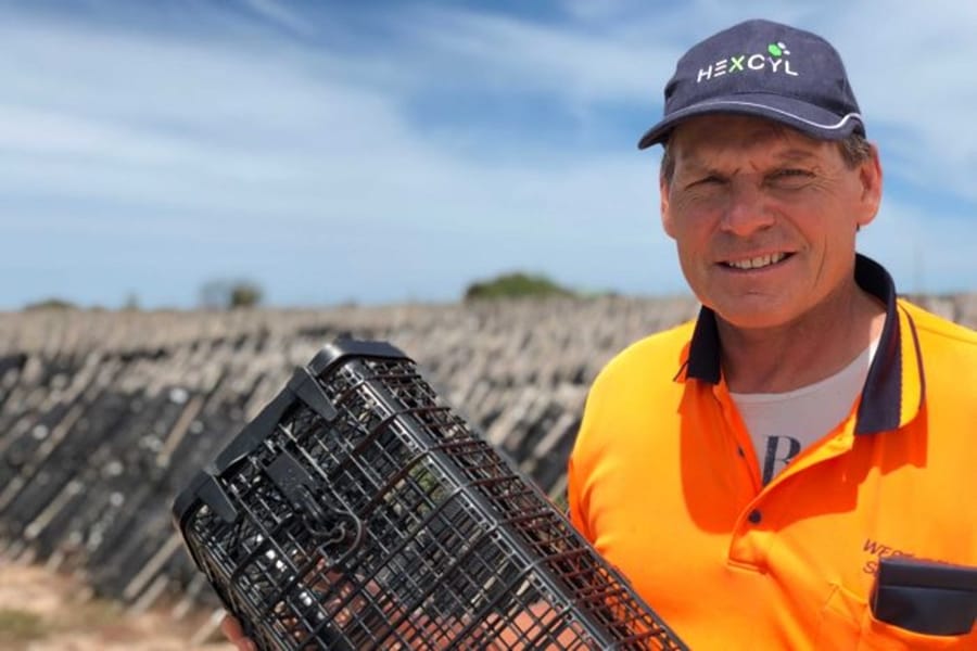 How frustration with oyster baskets led to an innovation award for a SA grower