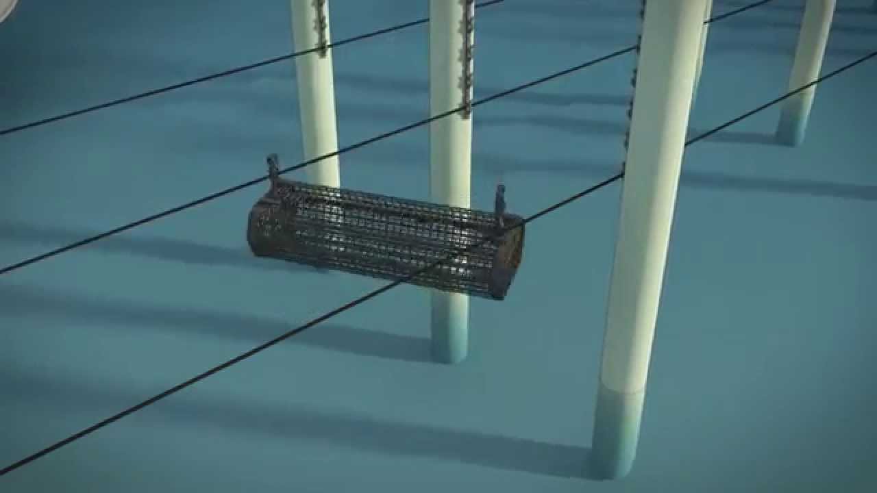 Oyster baskets and Shellfish baskets from Hexcyl Pro - Attachment and Positioning