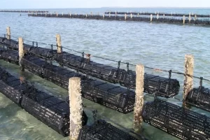 How adaptable are Hexcyl Baskets to my farm?