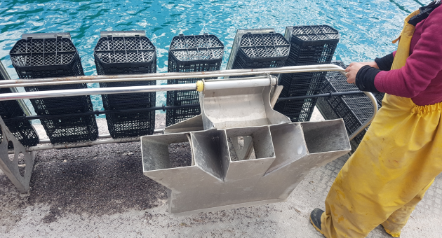 Specialised Shellfish Farms
