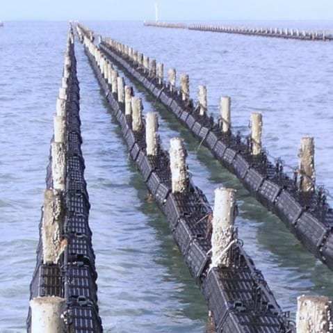 West-Eyre Shellfish