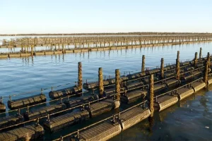 What is the serviceable life of the Hexcyl Basket?