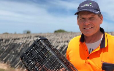 How frustration with oyster baskets led to an innovation award for a SA grower