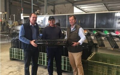 EXPORT industries in Ceduna